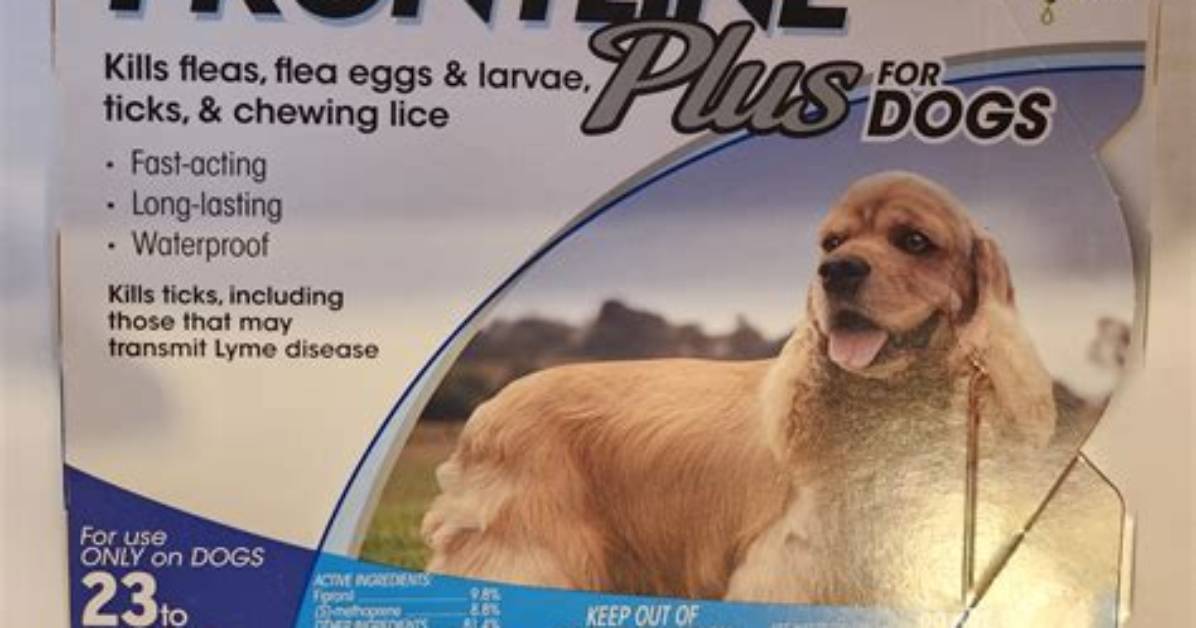 Does Walmart Sell Frontline Plus for Dogs