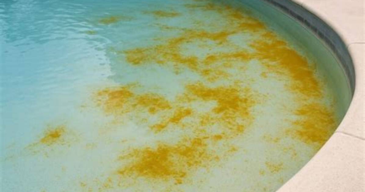 Does Warm Pool Water Cause Algae