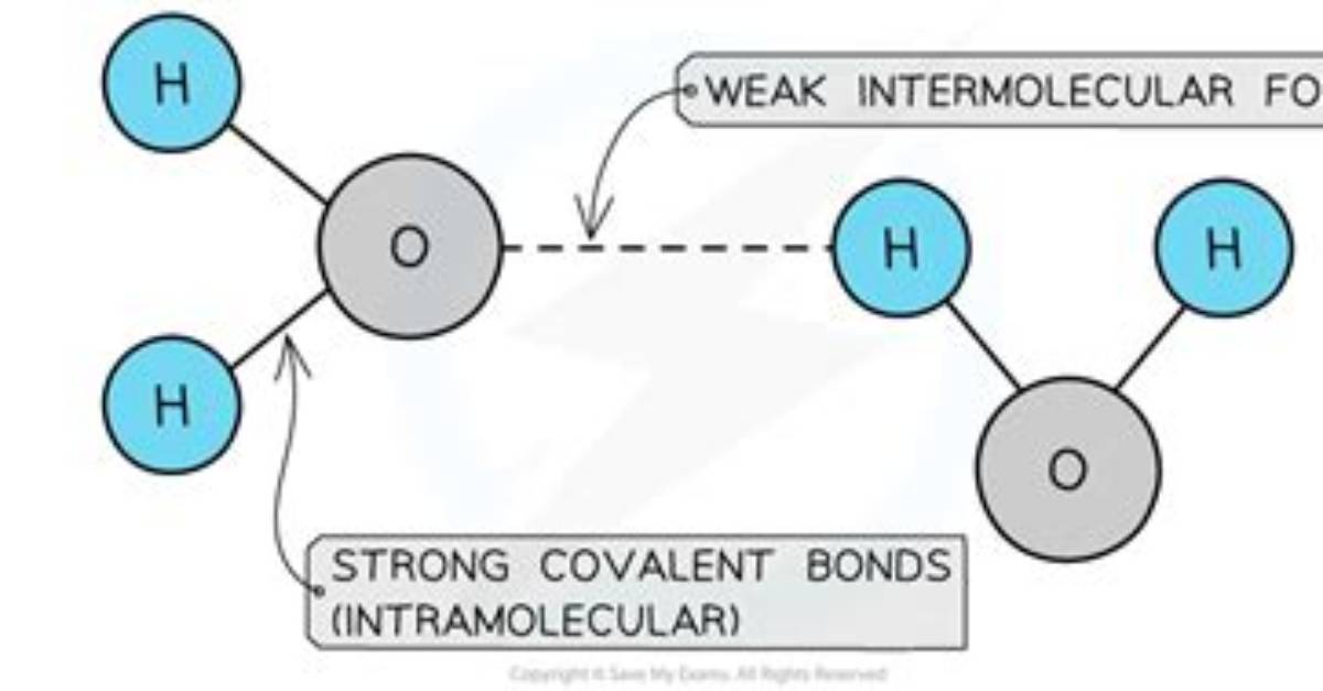 Does Water Have Weak Intermolecular Forces?