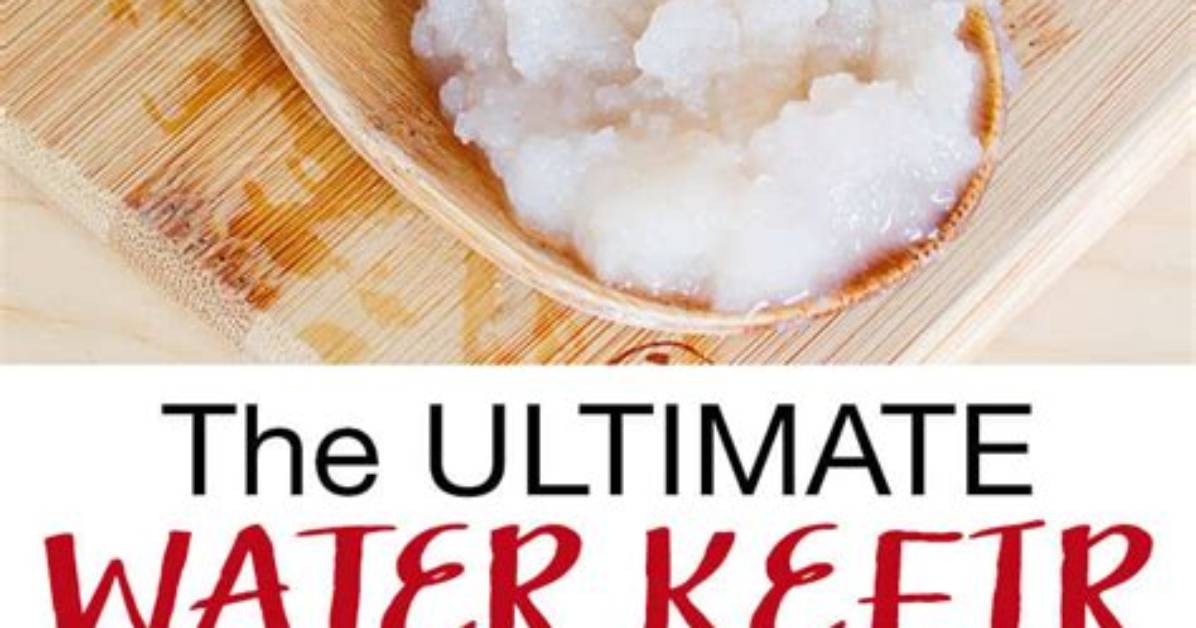 Does Water Kefir Need Light