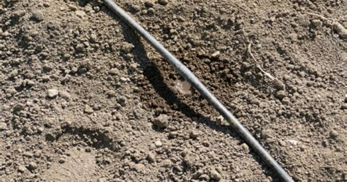 Does Watering the Foundation Work