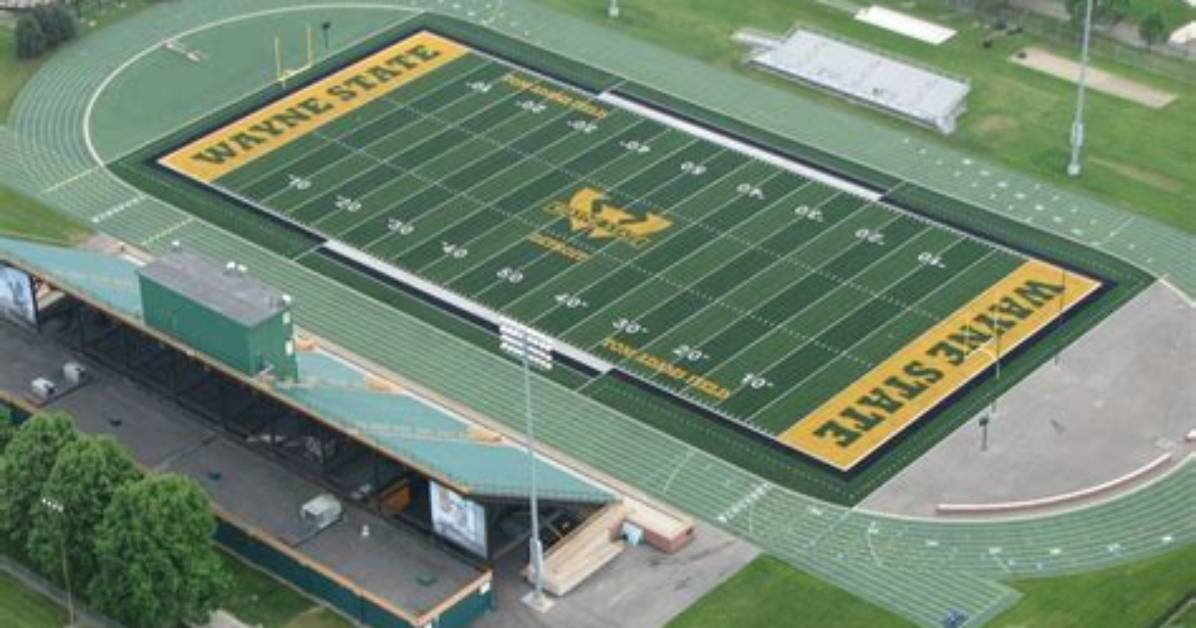 Does Wayne State Have Early Action