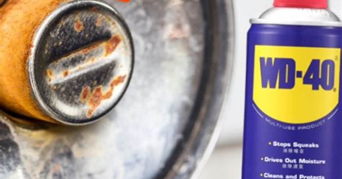 Does Wd 40 Remove Bird Poop?
