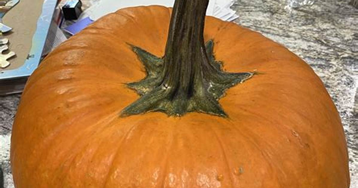 Does Wd40 Preserve Pumpkins