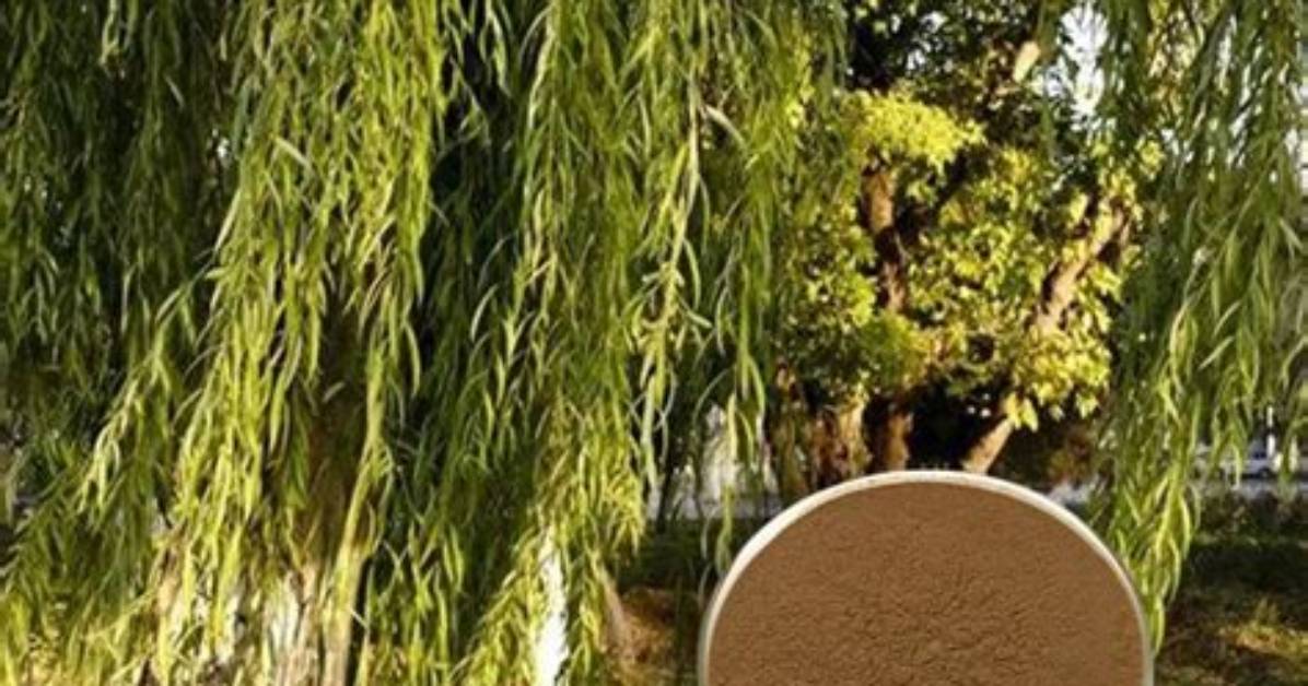 Does White Willow Bark Have the Same Side Effects as Aspirin