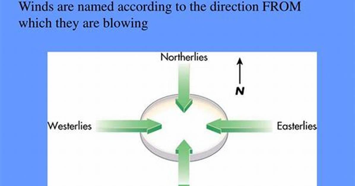 Does Wind Direction Change During the Day?