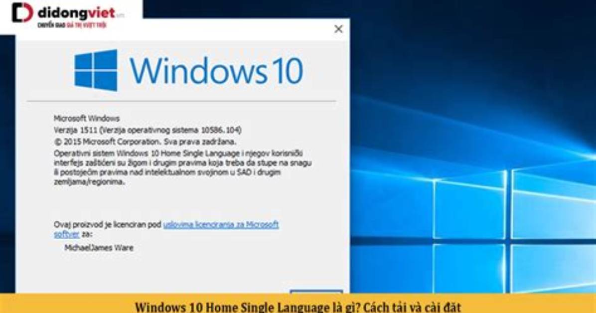 Does Windows 10 Home Support Multi Language?