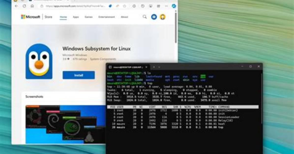 Does Windows Subsystem for Linux Support Gui?