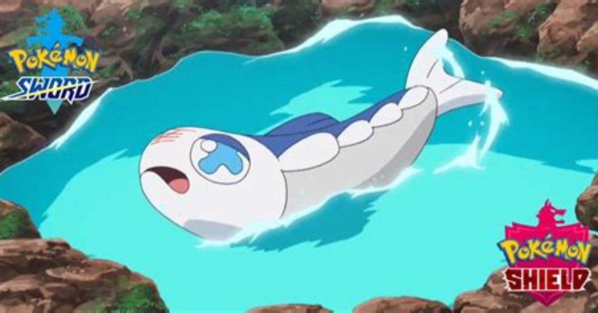 Does Wishy Washy Evolve?