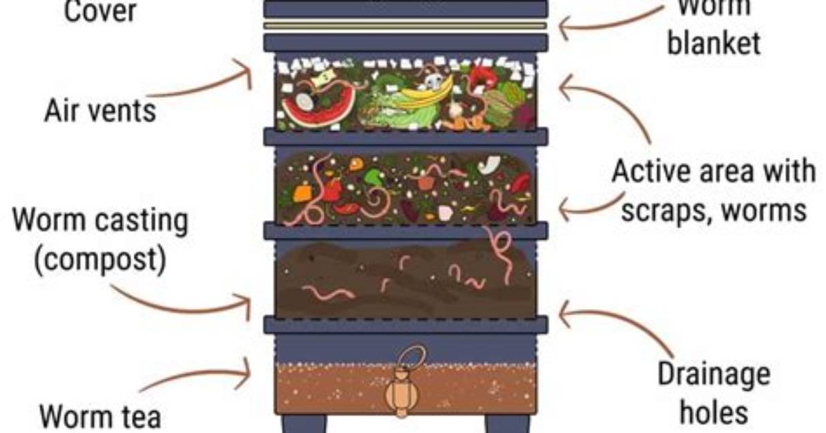 Does Worm Composting Smell