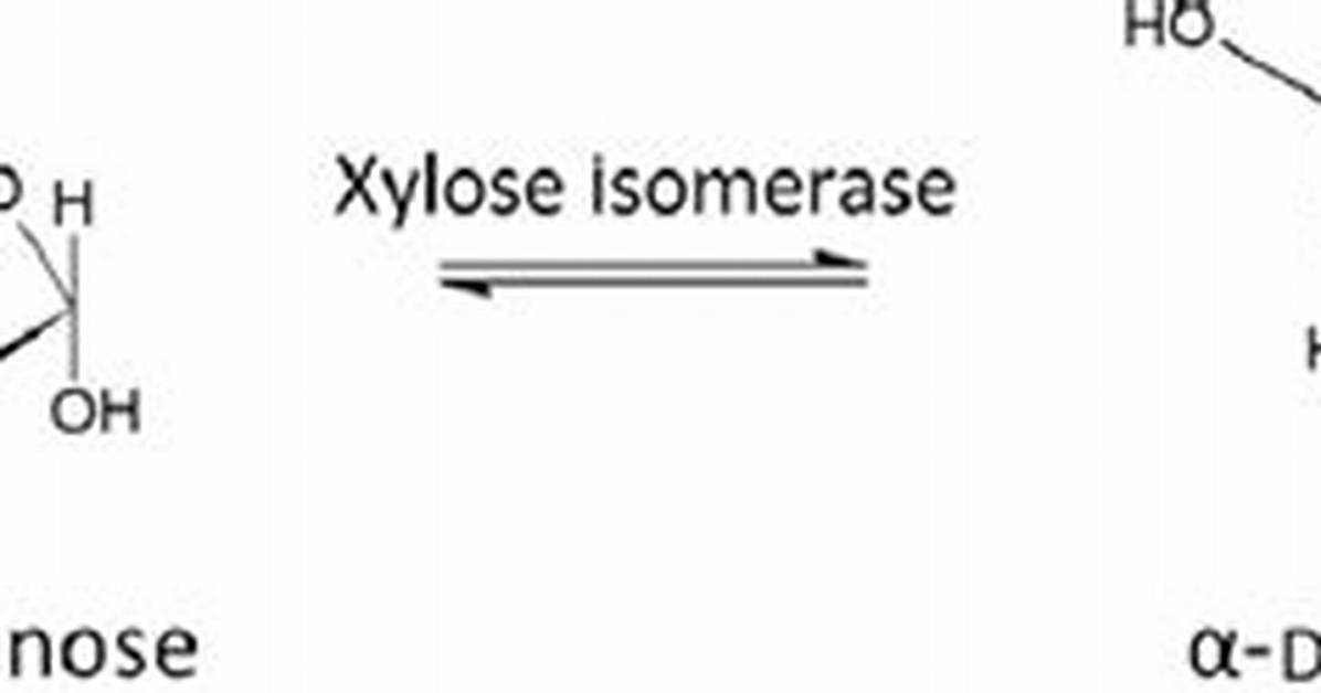 Does Xylose Isomerase Work?