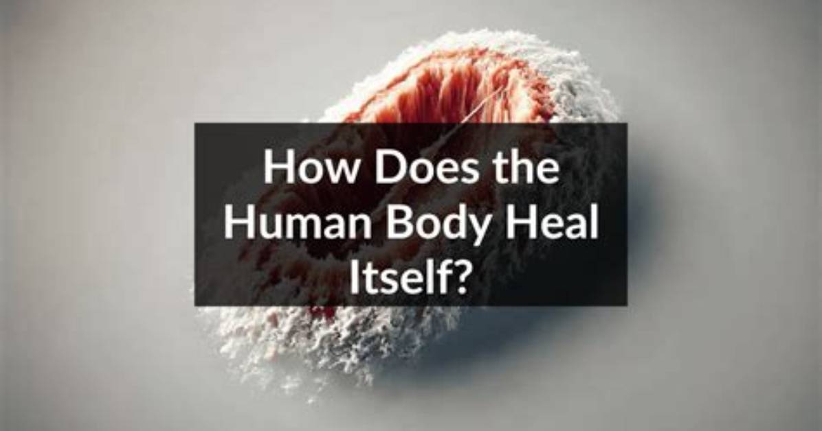 Does Your Body Cannibalize Itself?