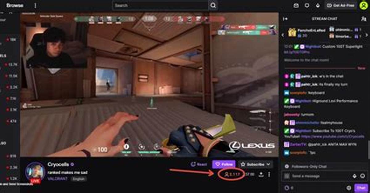 Does Yourself Count as a Viewer on Twitch?