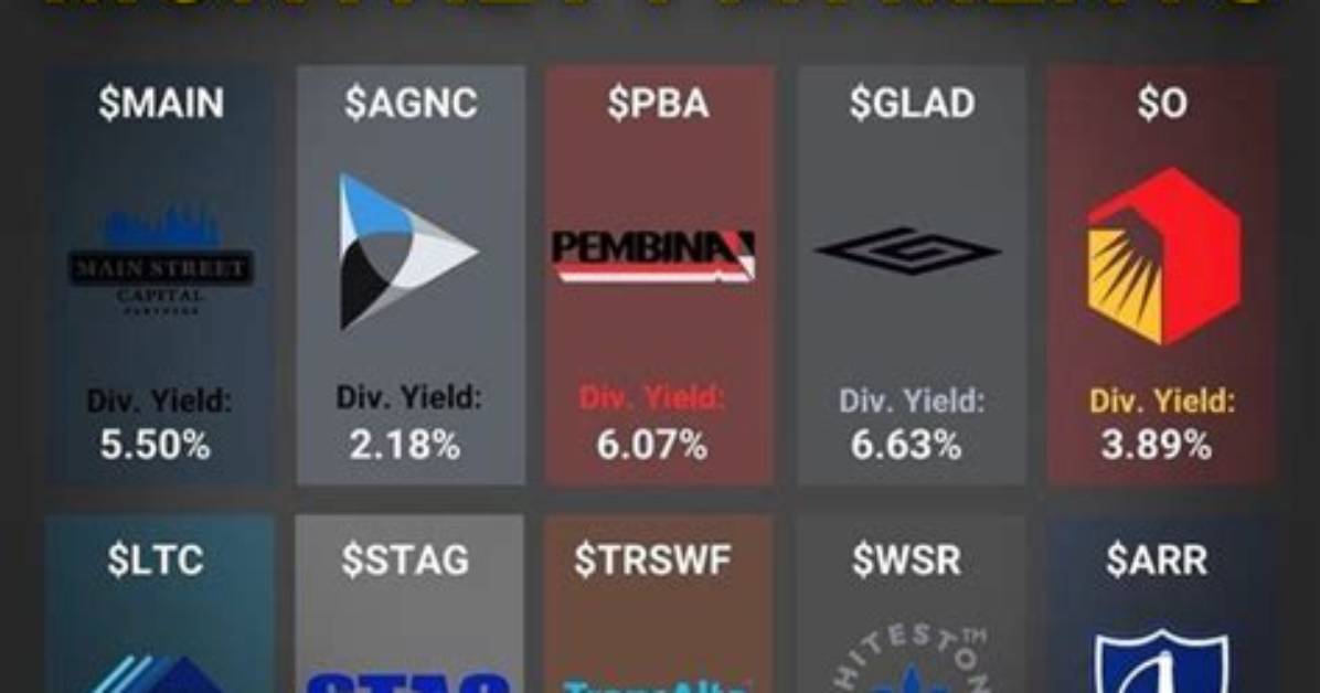 Does Zim Stock Pay Dividends?