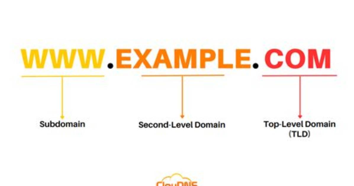 Domain Name Without Tld