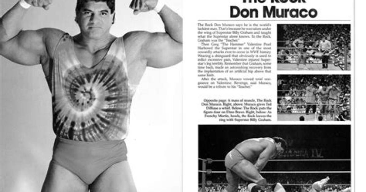 Don Muraco Net Worth