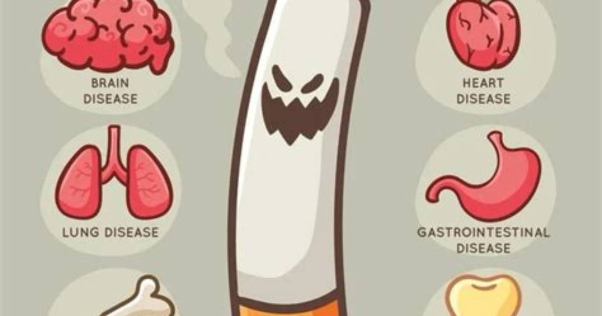 Doobs Cause Moobs? Why Smoking Weed Might Be Giving You Man Boobs