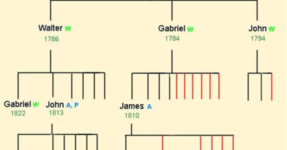 Douglas Mcmillon – Family, Family Tree