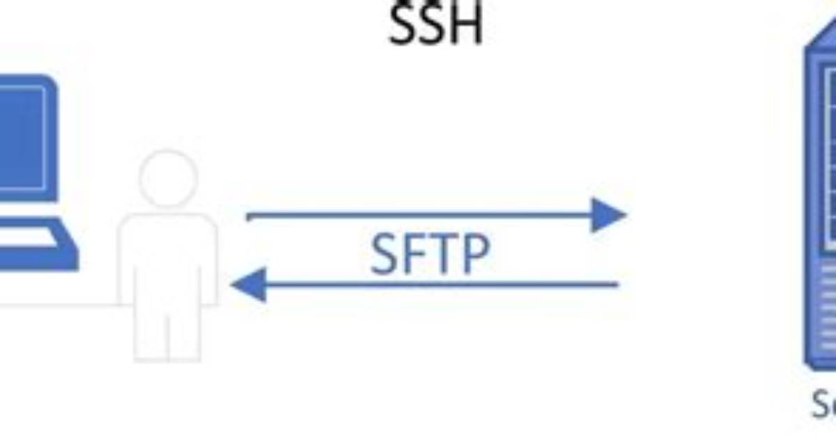 Download Files from Sftp with Ssh. Net Library