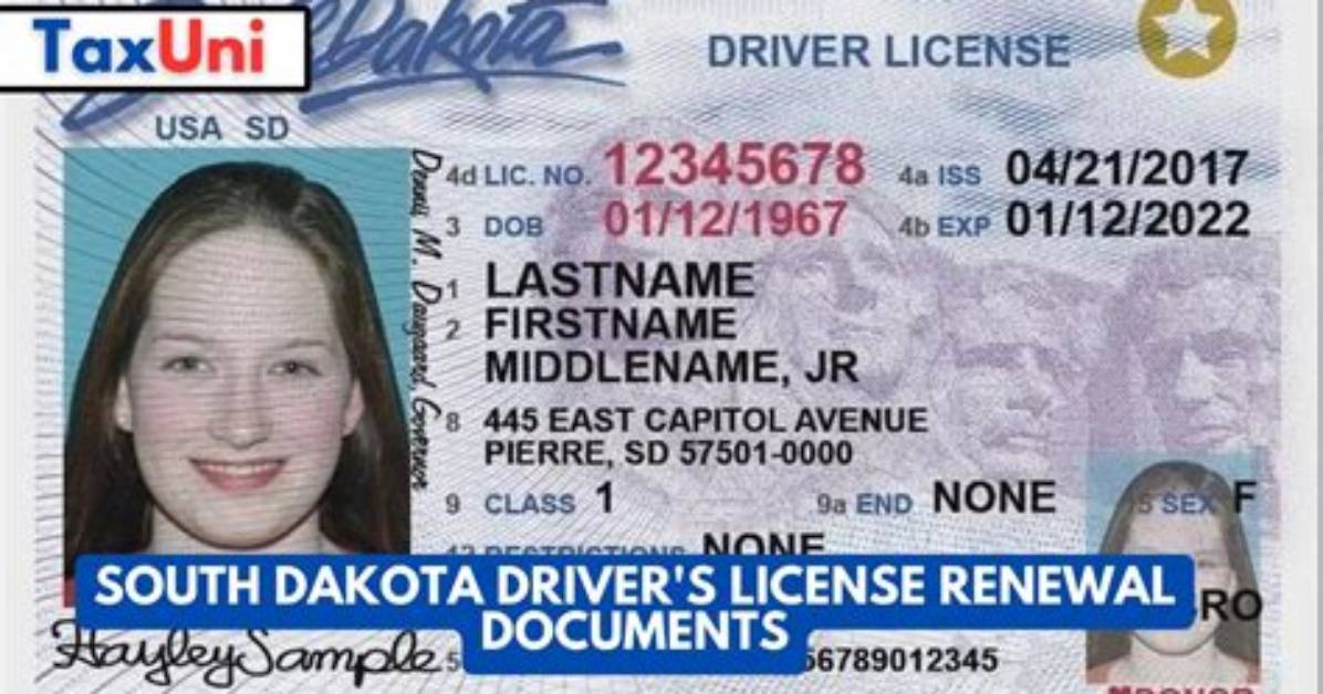 Driver License Renewal Sd