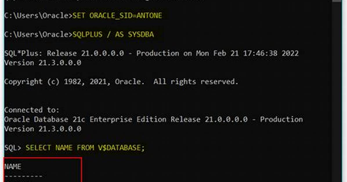 Dropping Connected Users in Oracle Database