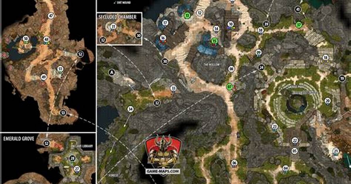 Druid Grove Map Baldur's Gate 3 (Bg3)