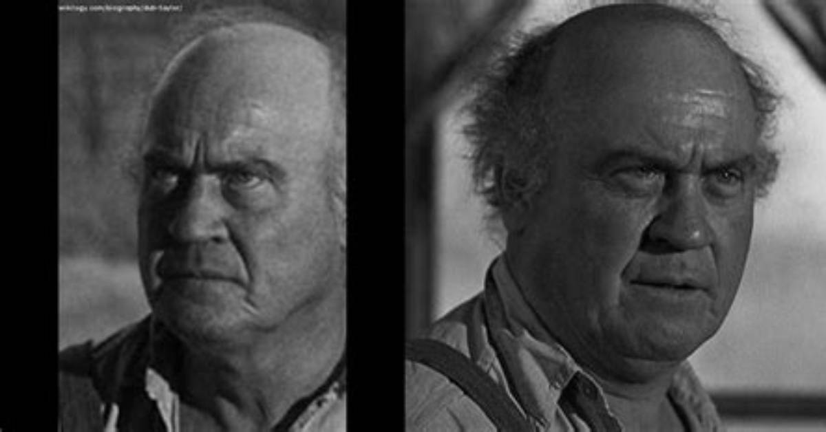 Dub Taylor Net Worth