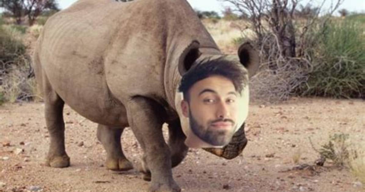 Dudey Rhino
