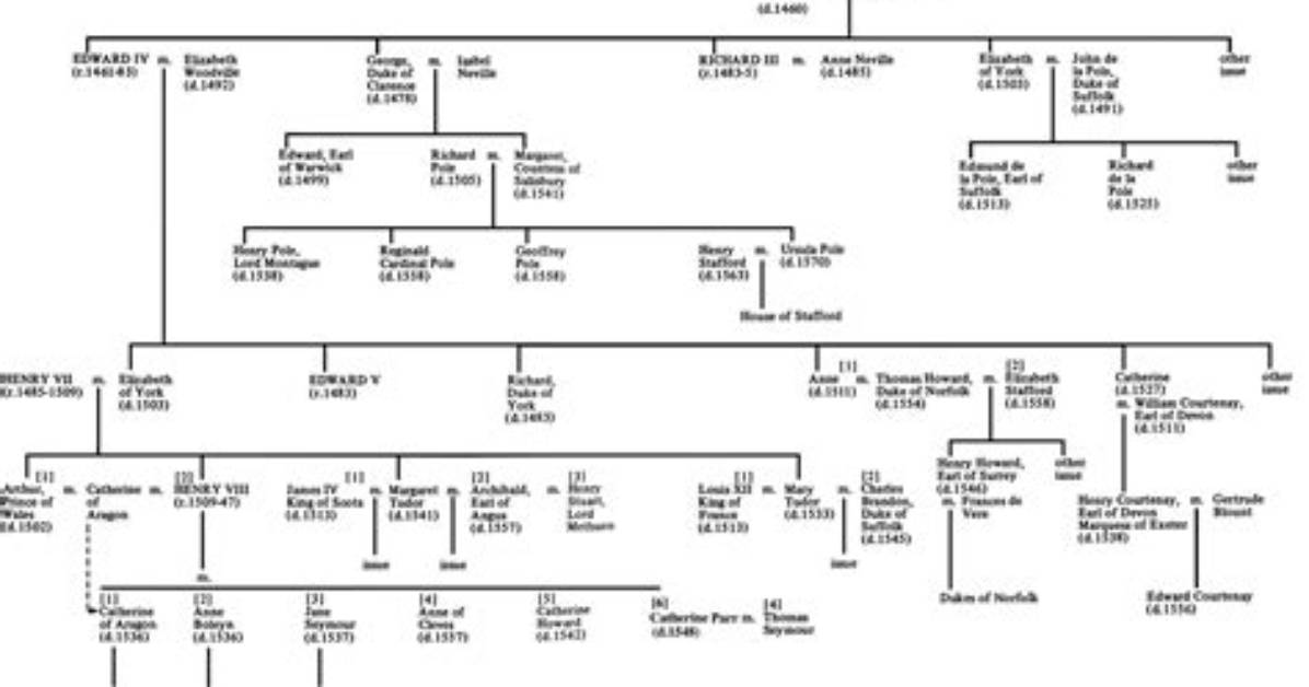 Duke Henry of Cornwall: Family Tree by Comrade28