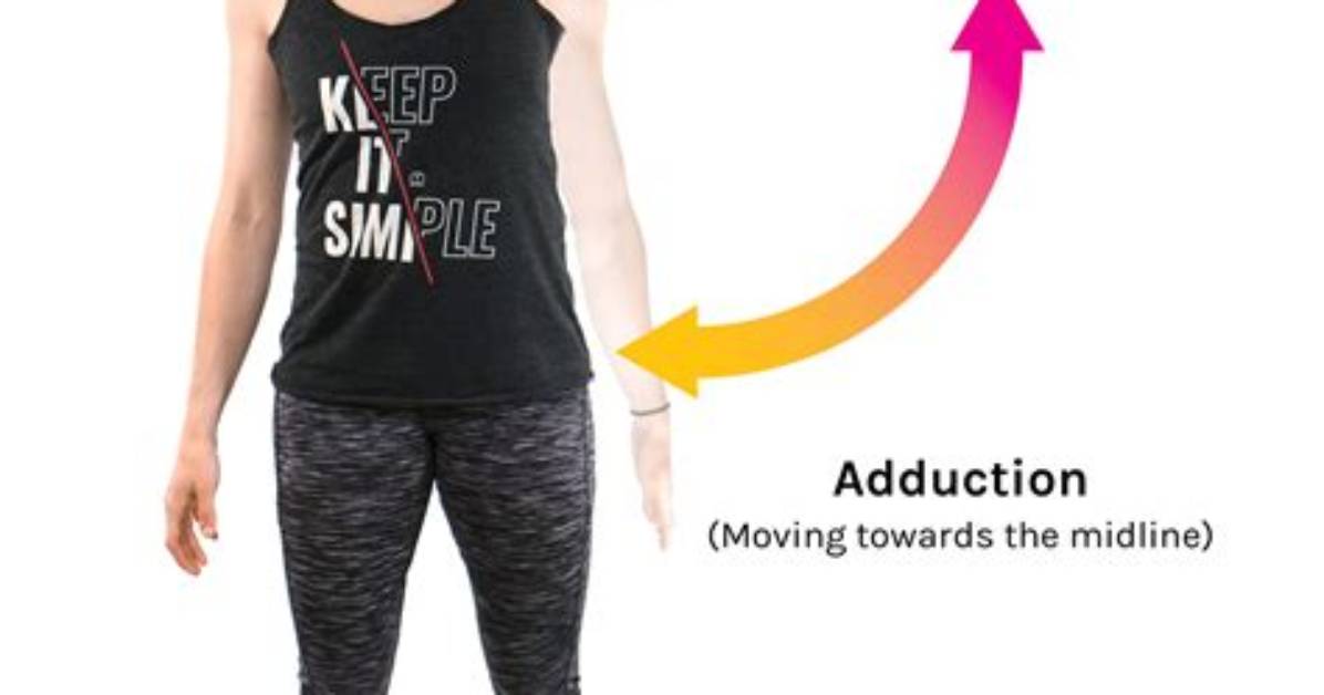 During Abduction the Arm Moves?