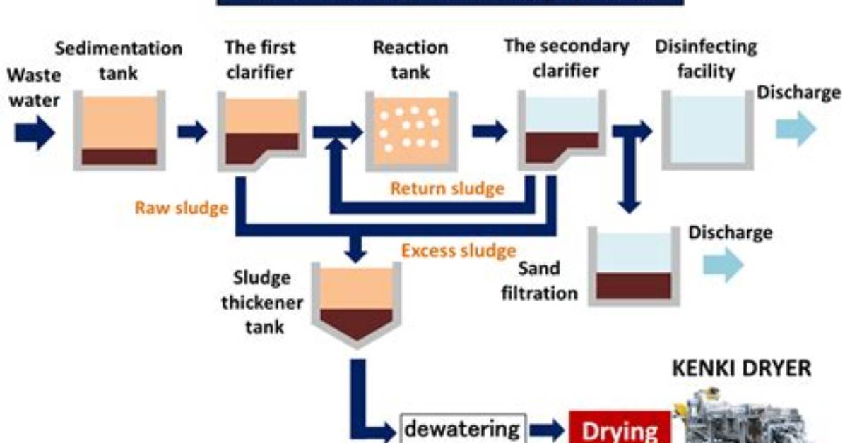 During Activated Sludge Treatment?