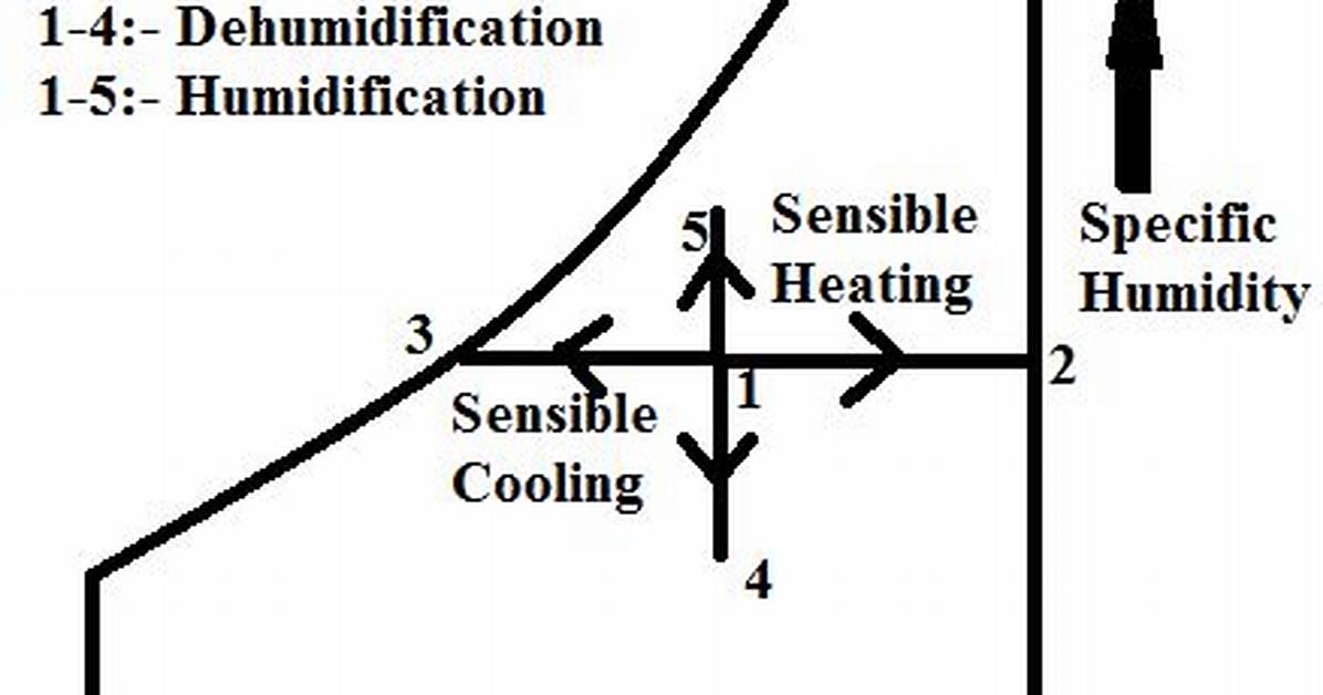 During Dehumidification Process Remains Constant?