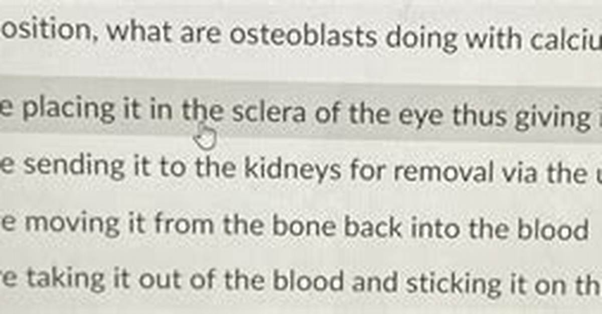 During Deposition What Are Osteoblasts Doing with Calcium?