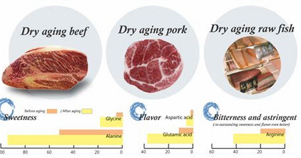 During Dry Aging Meat Is?