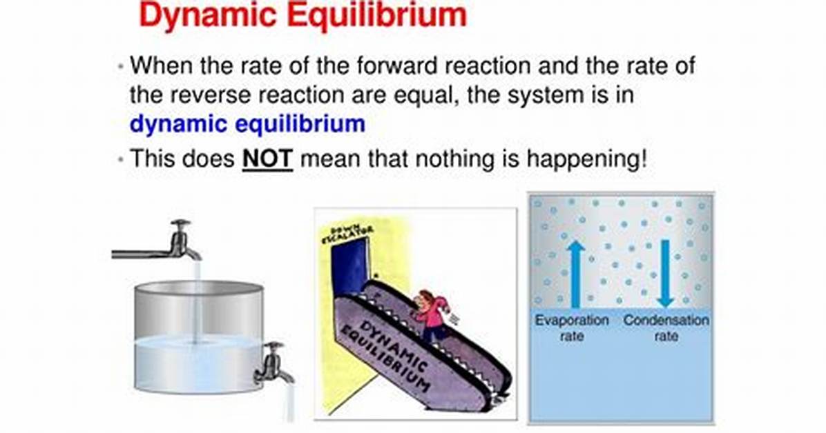 During Dynamic Equilibrium Which Statement Must Be True?