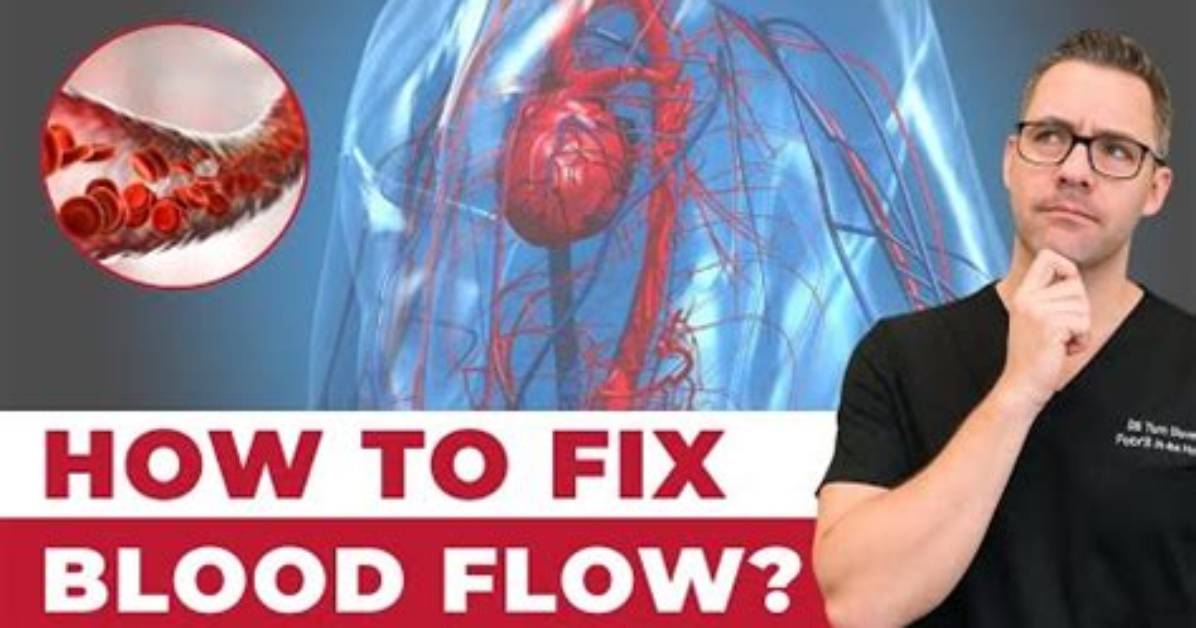 During Exercise Do the Arteries Constrict?