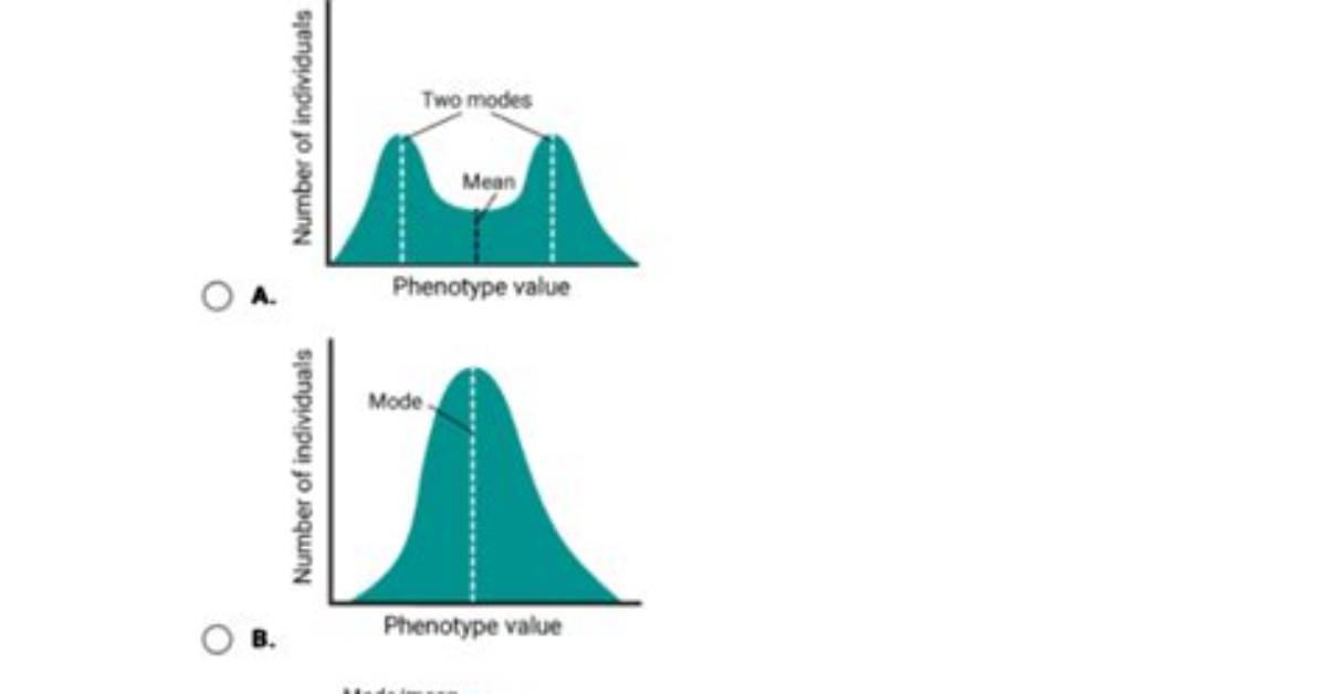 During Selection the Mean Phenotype Changes?