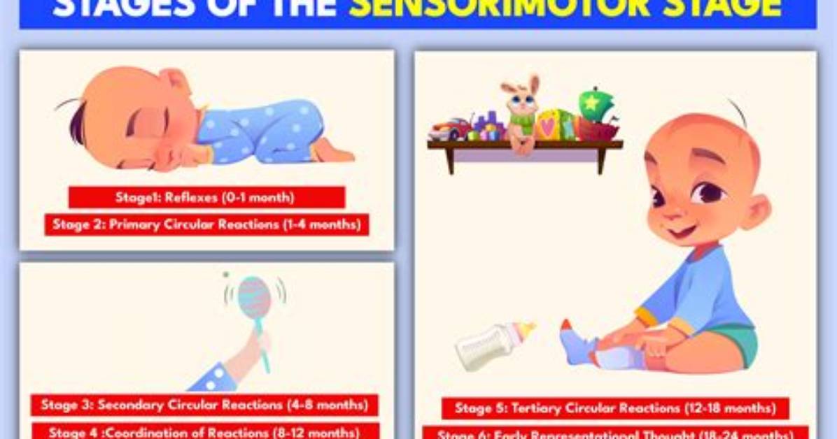 During Sensorimotor Stage Two an Infant?