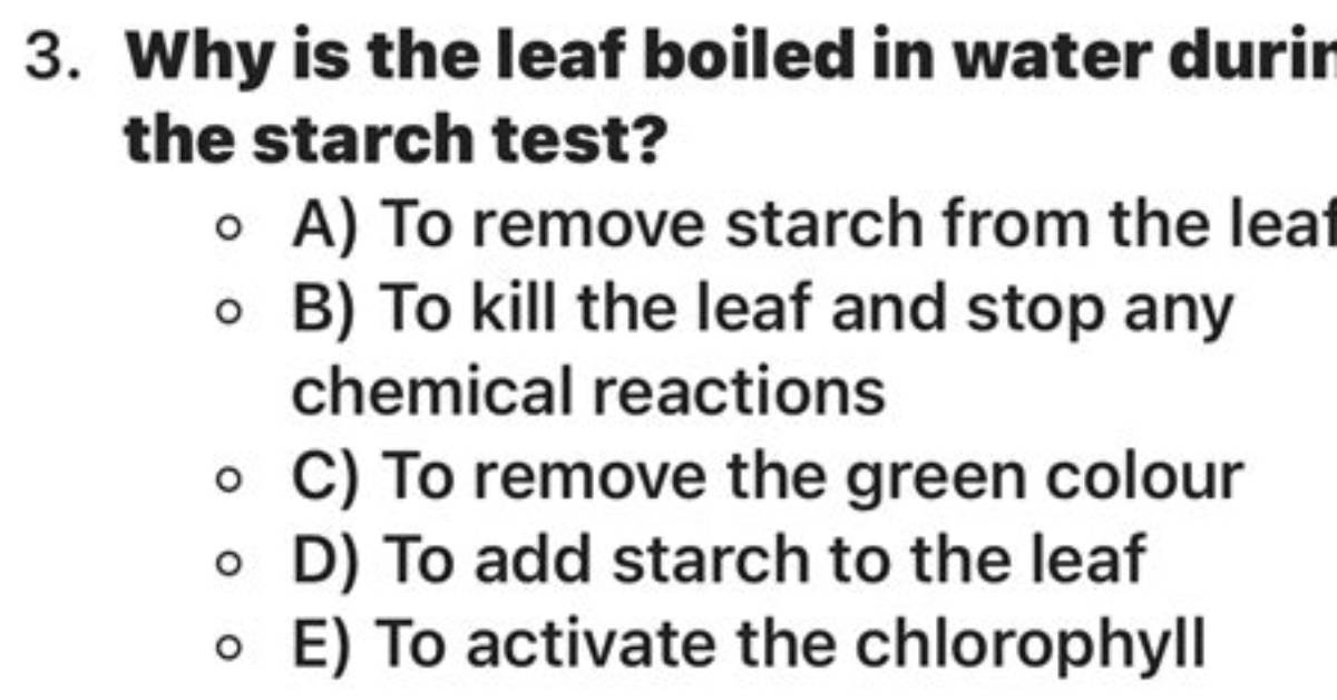 During Starch Test Why Is Leaf Boiled in Alcohol?