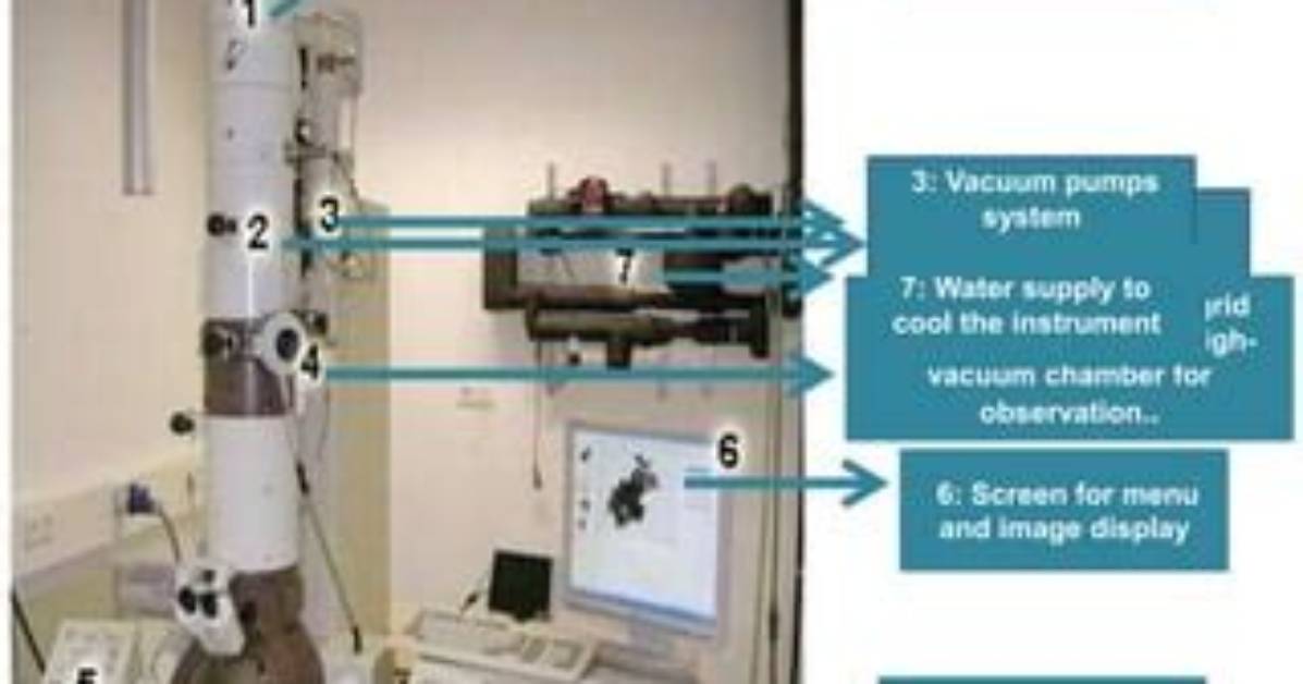 During Tem a Vacuum Is Created Inside the?