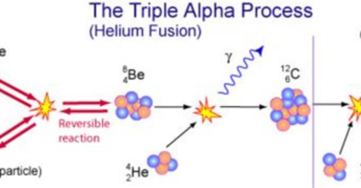 During the Triple Alpha Process?