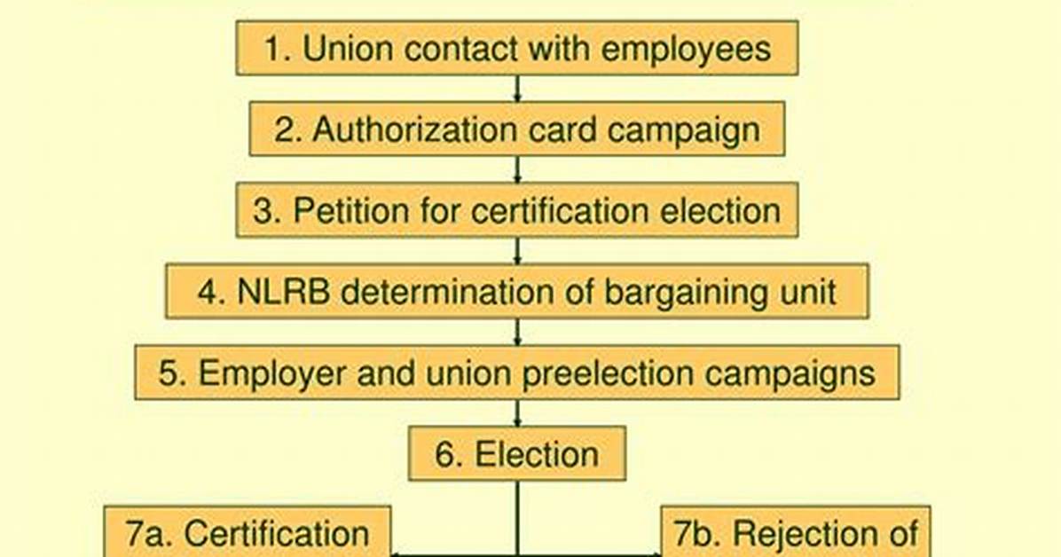 During the Union-Organizing Process How Is the Bargaining Unit Determined?