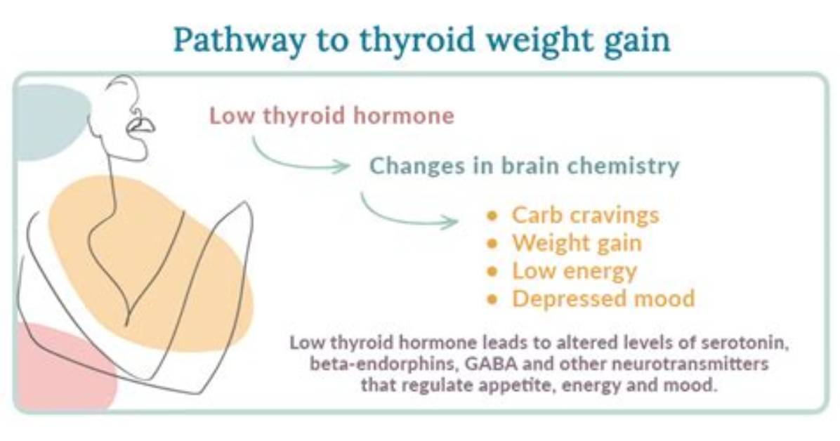 During Thyroid Weight Gain?