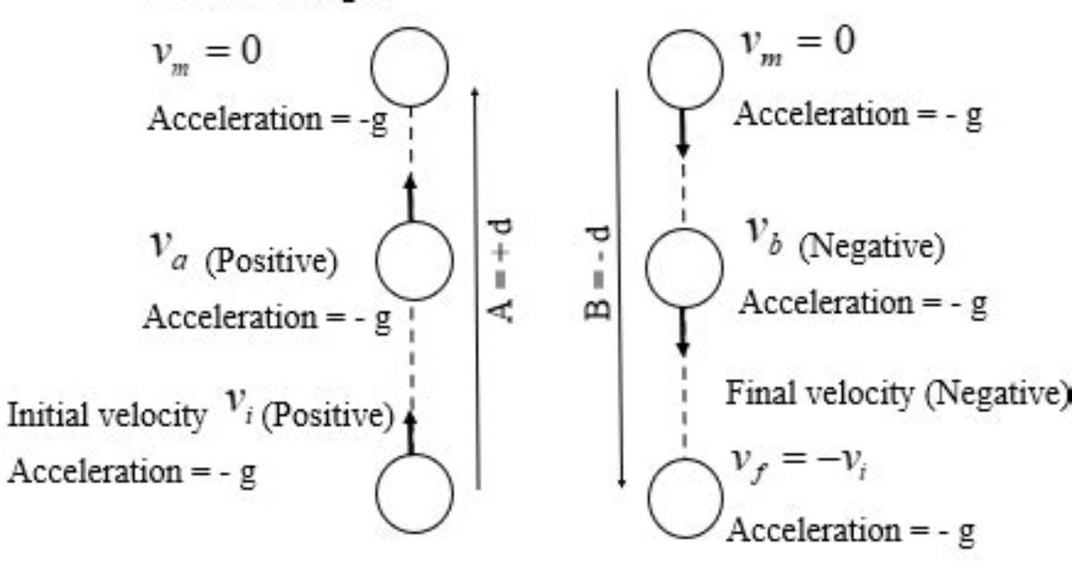During Upward Motion G Is Negative?
