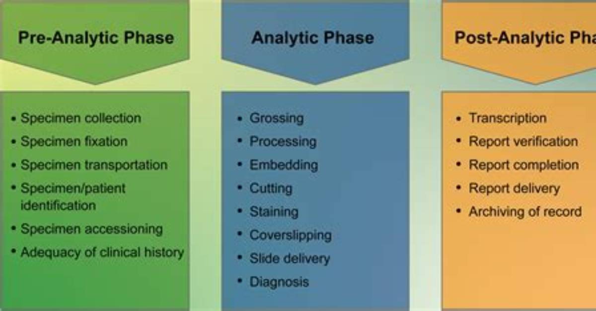 During Which Phase Discrepancies Are Reported as Defects?