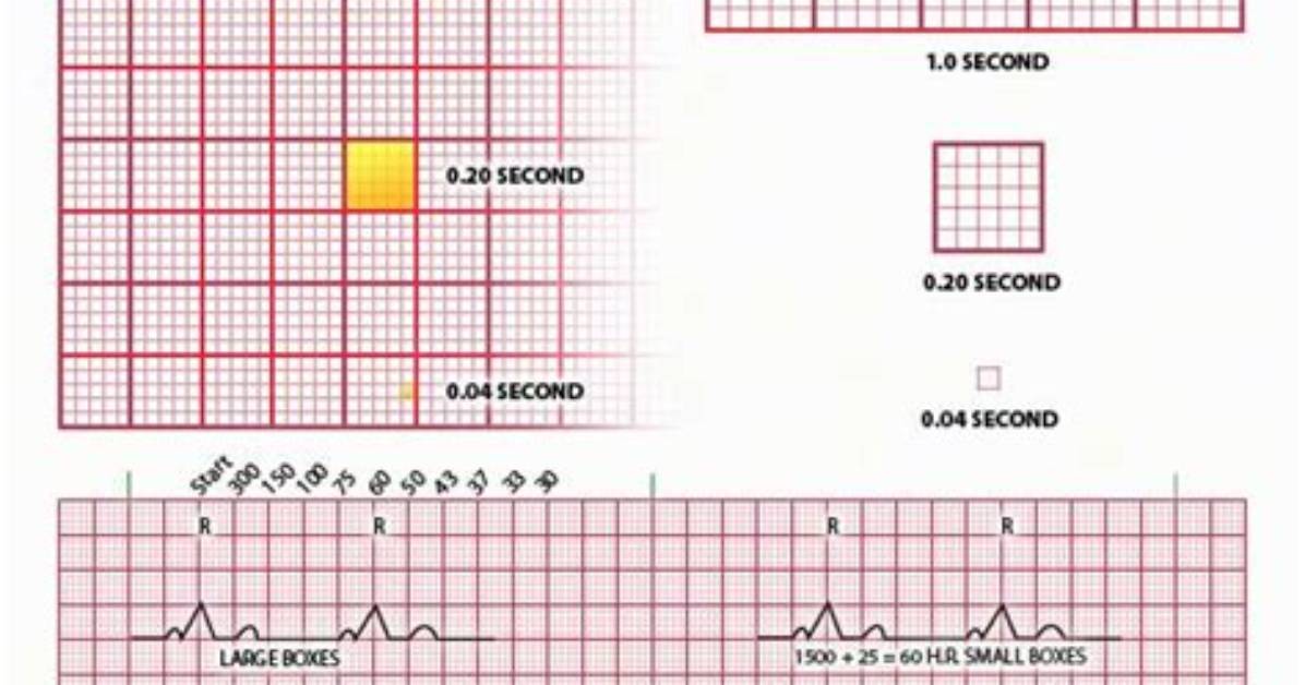 Ecg Box Measurements