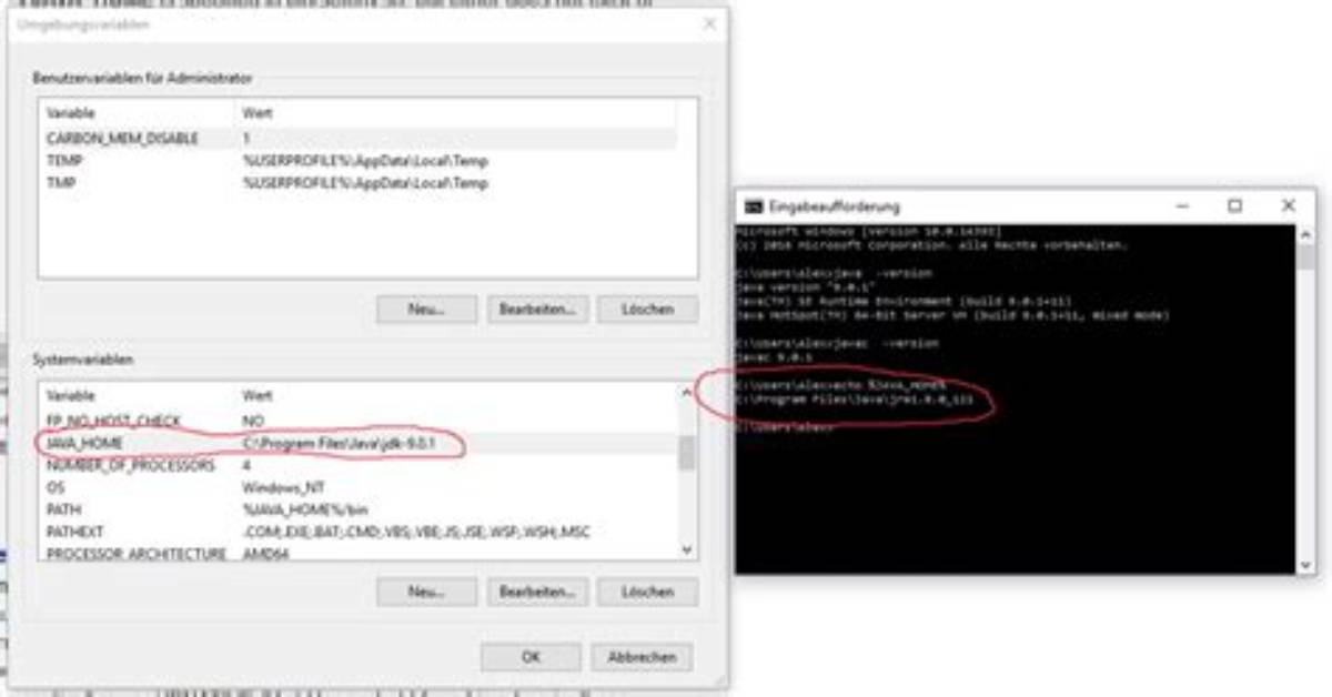 Echo %Java_Home% Returns %Java_Home%