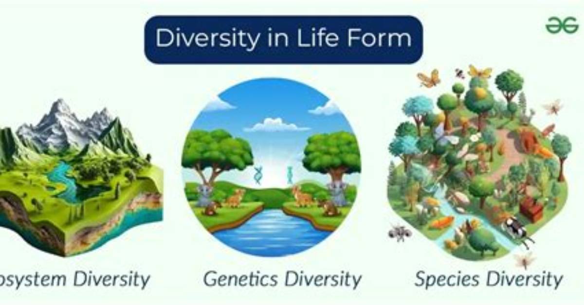 Ecosystem Diversity