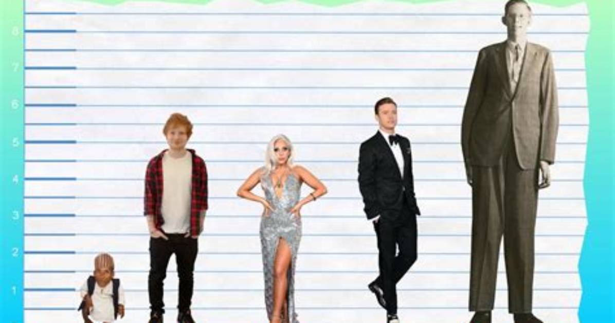 Ed Sheeran’s Height: How Tall Is Ed Sheeran?