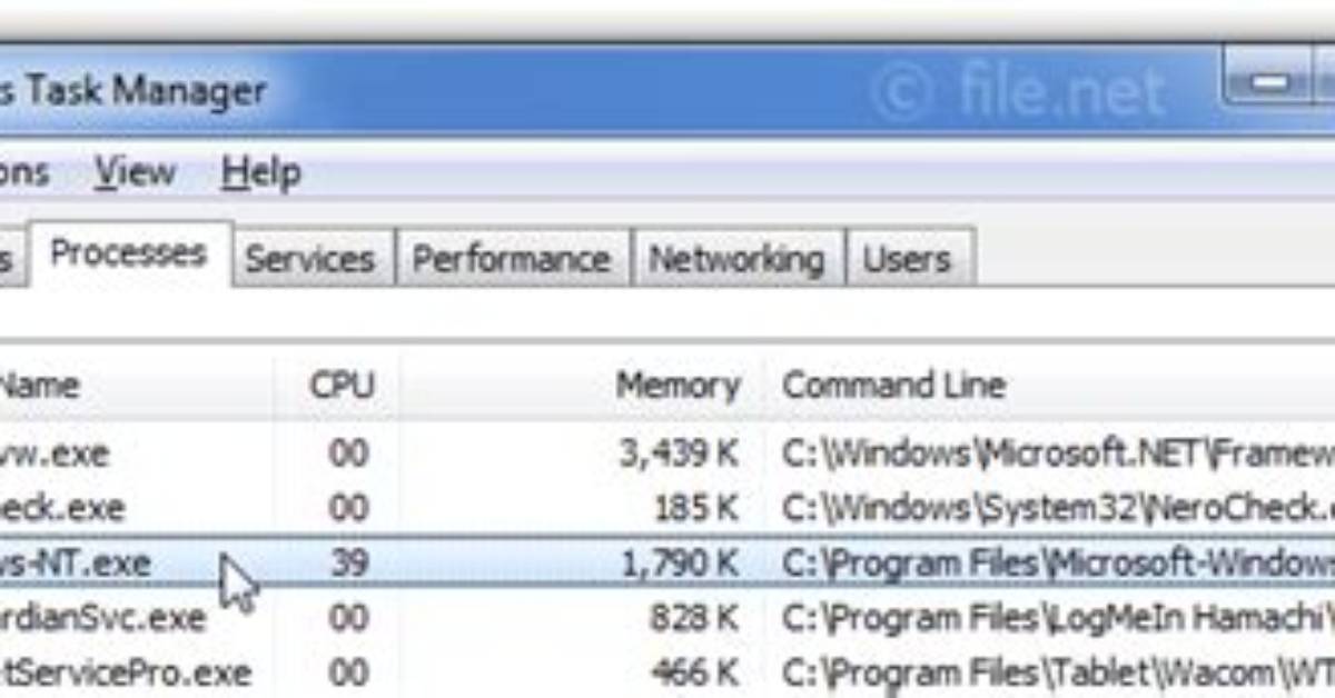 Ehs_Nt_Enu. Exe Windows Process – What Is It?